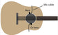 Acoustic Bass Guitar Mic