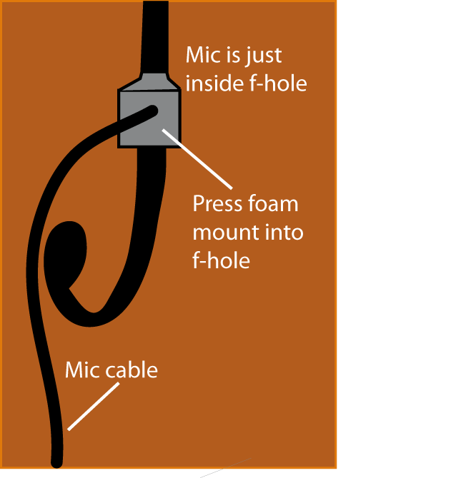 Placement of Bartlett Bass Mic in f-hole