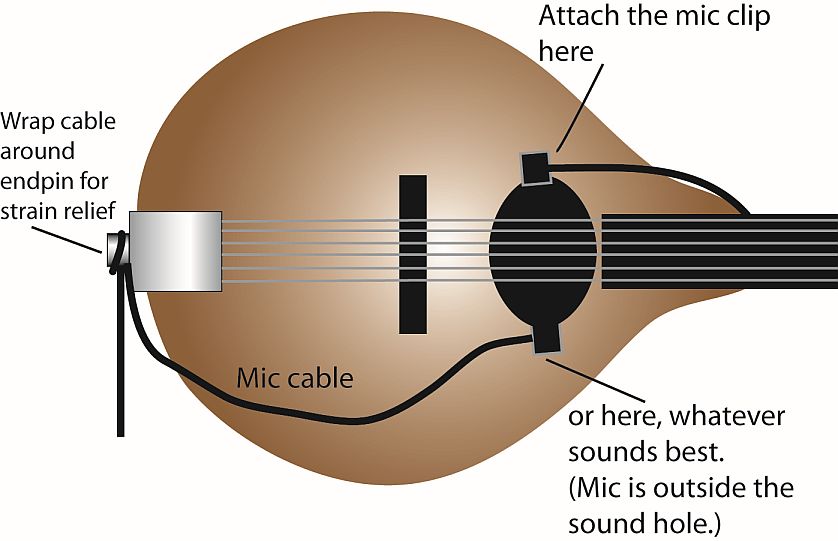 Oval-hole Mandolin Mic mounting